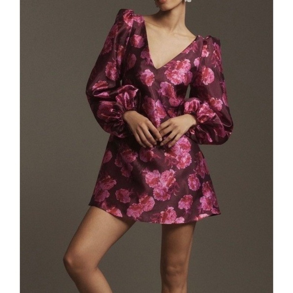 BHLDN Anthro Aliana Long Sleeve V-Neck Floral Organza Mini Dress Plum Pink XS